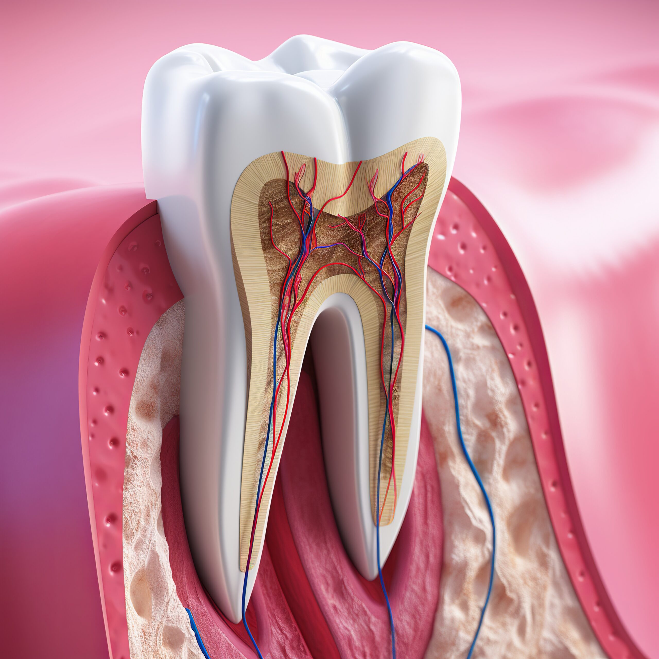 How Much Does A Root Canal Cost In Richmond, TX?