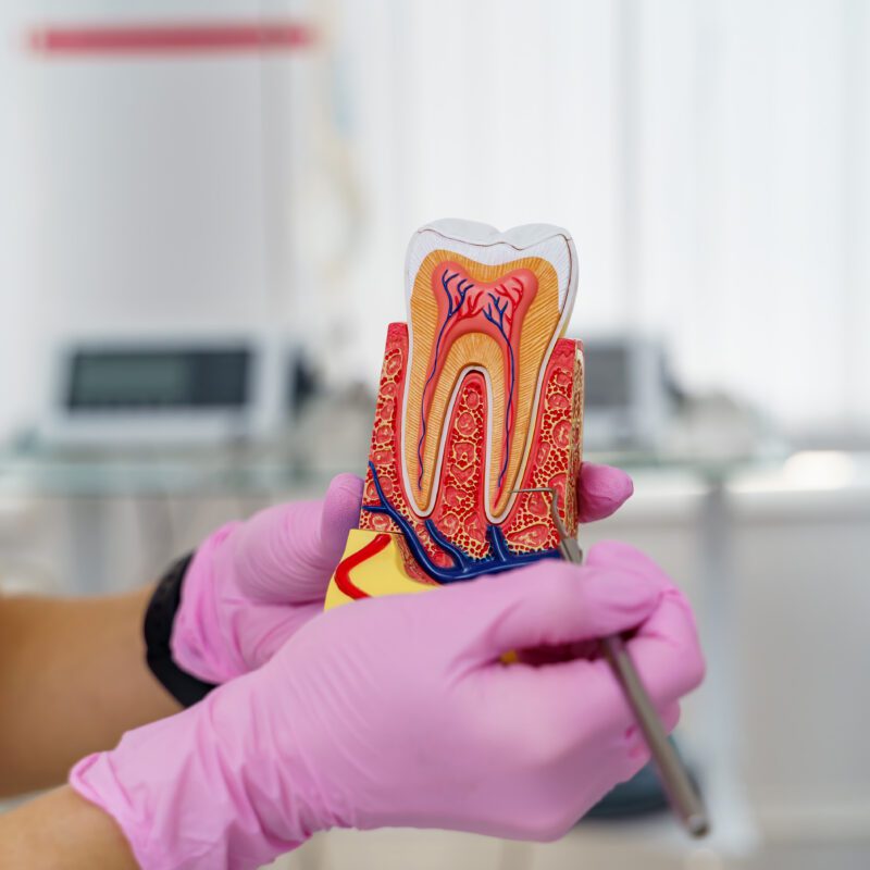 Out-of-Network Dental Insurance Richmond TX | Best Dental