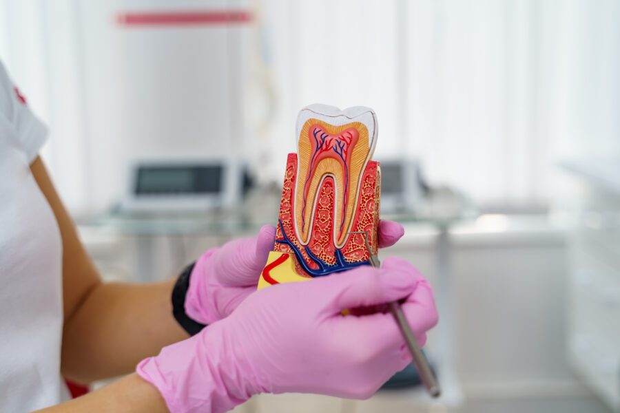 Out-of-Network Dental Insurance Richmond TX | Best Dental